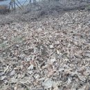 비산3동-1 이미지