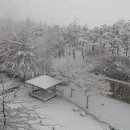 오산시청 이미지