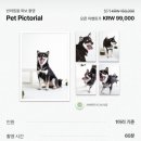 수풀스튜디오 이미지