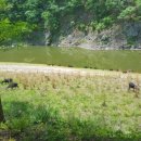 청하목장 이미지