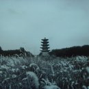 한국의 석탑 이미지