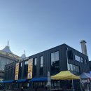 도그와트 | 인천 강아지 카페 실내 도그와트 인천문학점 아기 리트리버 첫방문 후기