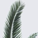 [카드뉴스] 지속가능한 기업의 성공 법칙, ESG 빠르게 읽기 | 똑똑한 생활 속 경제적 생활습관: 작은 변화로 만드는 큰 경제 효과