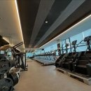 머슬뷰티 이미지