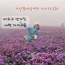 거창-위천-6 | 경남 거창 감악산 별바람언덕 아스타국화 보기위한 4박5일여행 새벽 7시30분 방문후기