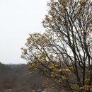 화전2리경로당 이미지