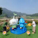 단양 팔경 도담삼봉 석문 : 유람선 황포돛배, 주차장 시간표 가격 소요시간 후기