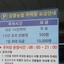 달떡볶이강릉점