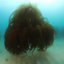 동성자원개발㈜ 이미지