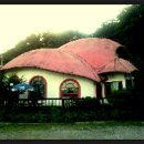 빨간지붕 이미지