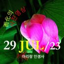 [0729&#39;23] O 아리랑 인생사 이미지