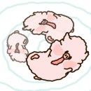 일동해물 이미지