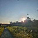 크로스핏스틸 | 크로스핏 출석일기,삼송크로스핏, 삼송산후다이어트, 크로스핏스틸,출산 후 크로스핏, 산후 고강도 운동