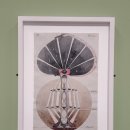 동명이어도식당 | 249_⟪힐마 아프 클린트: 적절한 소환⟫ 부산현대미술관