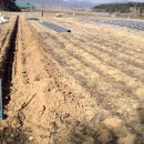 동머리농장 이미지