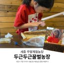 두근두근 가족 시 낭송 | 세종 주말 아이랑 가볼만한곳｜세종 두근두근꿀벌농장 꿀벌체험 후기