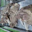 주식회사 심큰 이미지