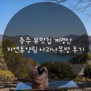사과나무집 | 충주 뷰맛집 계명산 자연휴양림 사과나무방 후기