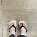 코티지 | 다낭 풀만 리조트 코티지룸 솔직 후기 | 독채 객실, 아코르 플래티넘 혜택 총정리