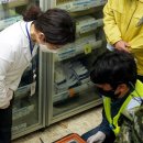 제주시보건소 이미지