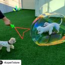 리츠펫 향남점 이미지