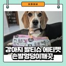 강아지 발티슈 - 에티펫 손발 엉덩이 깨끗 아쿠아티슈 사용 후기