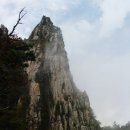 사란방 Daum카페