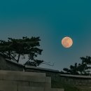 수원-0387 Daum카페