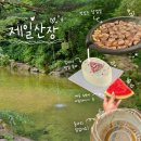 저달마지산장 | 대전 제일산장 계곡 평상 내돈내산 후기 삼겹살까지 완벽했던 여름 물놀이 명소