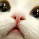 서울앤탑 동물병원 이미지