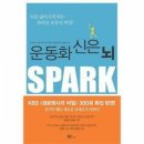 레이티 카카오 검색결과