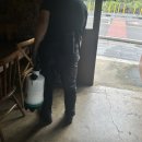 커피이지스 이미지