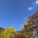 (주)대전사 이미지