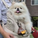 텐마일