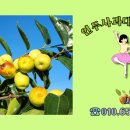 세중농장 이미지