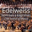 Edelweiss. The Sound of Music. 이미지