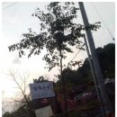 향토오리구이 이미지