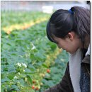 생생농장 이미지