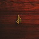 바른경희한의원 이미지