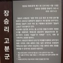 장승리 고분군 이미지