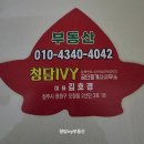청담IVY공인중개사사무소 이미지