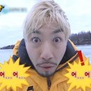 카츠 고릴라 이미지