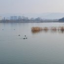 이원규농장 이미지