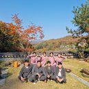 미히
