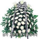 김*창 이미지