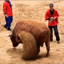 기권농장 이미지