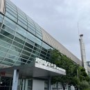서울대 포스코 스포츠센터 수영장 자유수영 후기