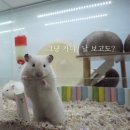 와우펫앤쥬진주점 | 진주 파충류샵 와우펫앤쥬 진주점 아이랑 가볼만한곳