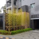 다온세탁소 이미지