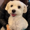 청개구리약국 | 아홉번째, 네발달린 친구들